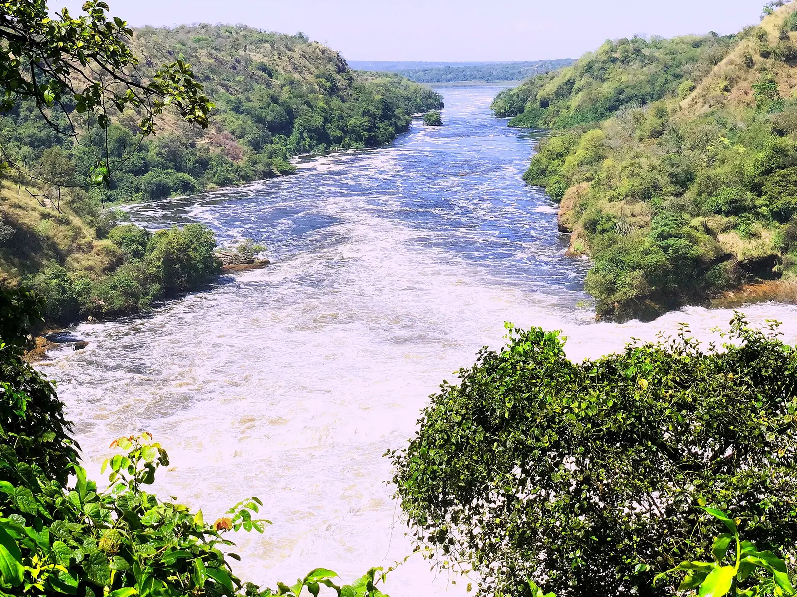 Uganda — Bwindi Impenetrable Forest, Murchison Falls, Lake Victoria